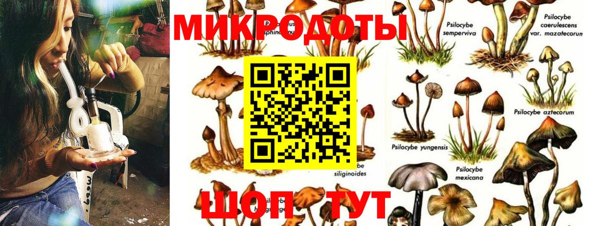 Нягань  Псилоцибиновые грибы мухоморы  Вход с VPN  Галлюциногенные грибы MAGIC MUSHROOMS 